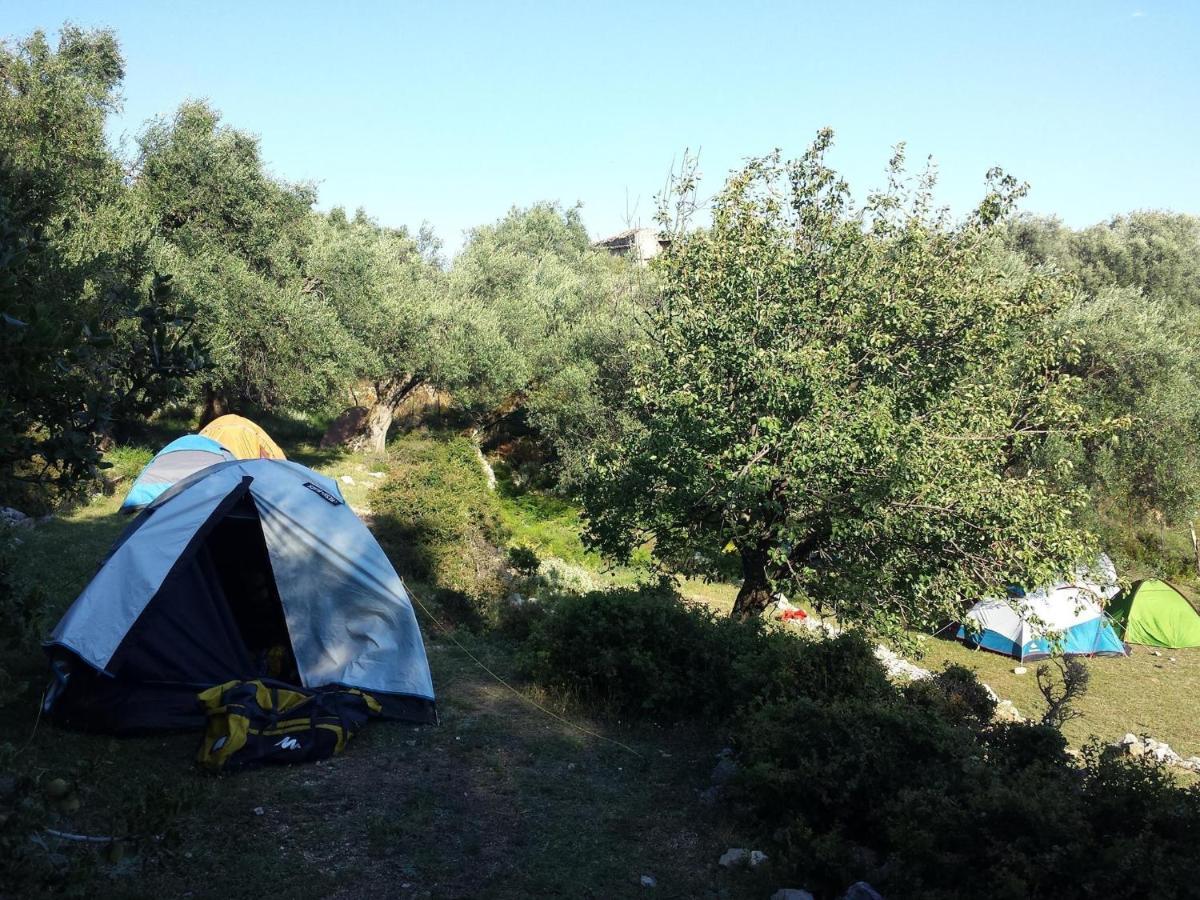 Shkolla & *