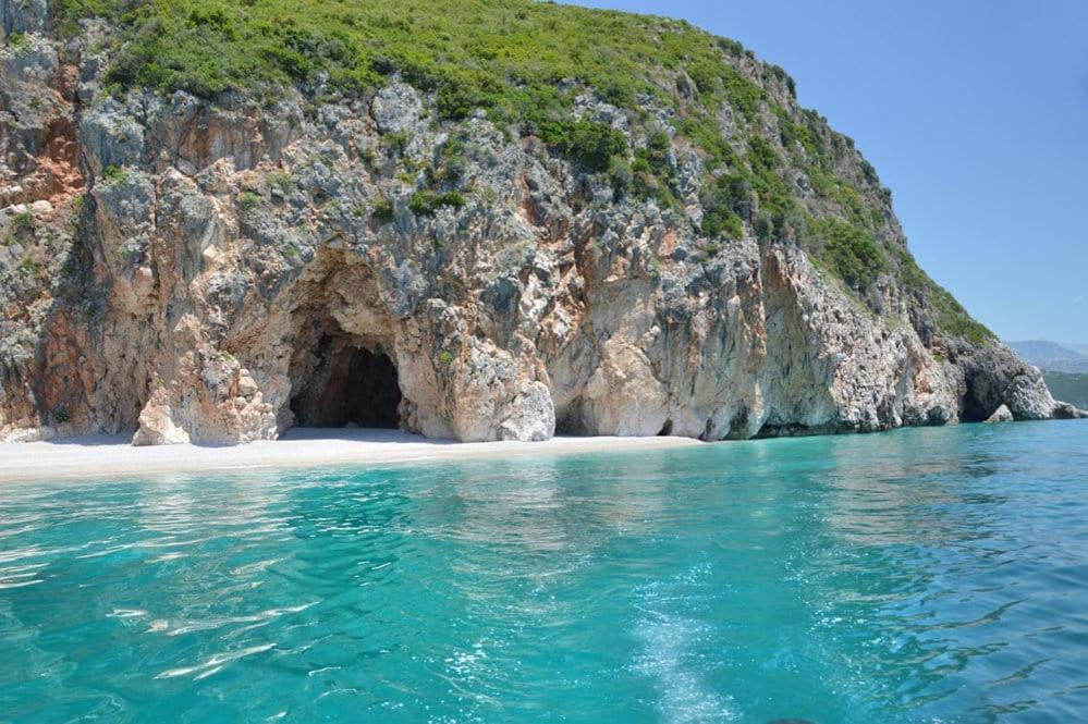 Shkolla & *
