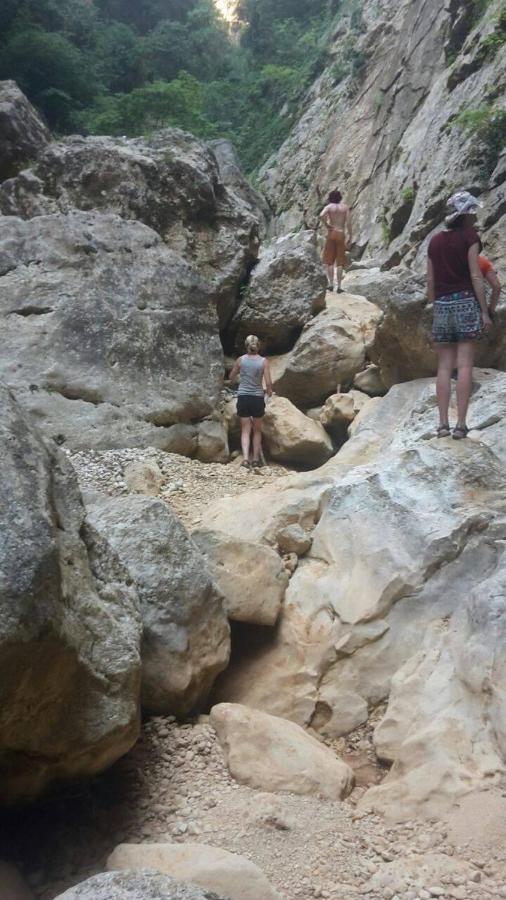 Shkolla & Albergue