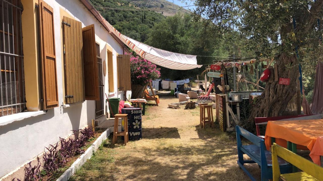 Shkolla & * Vuno