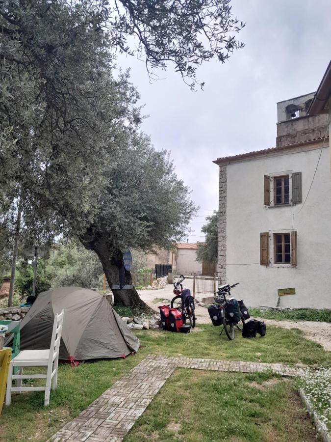 Shkolla & *
