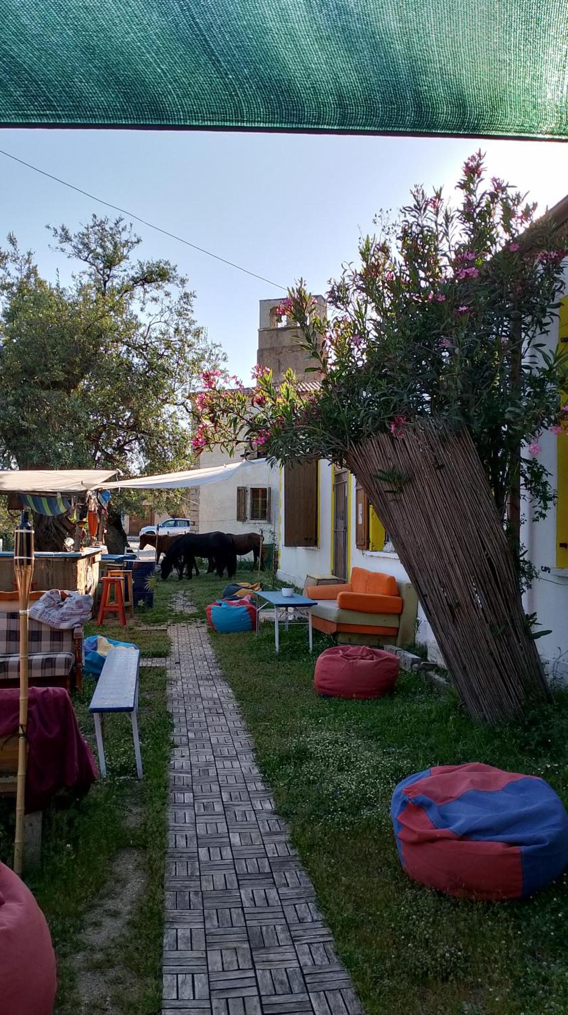 Shkolla & * Vuno